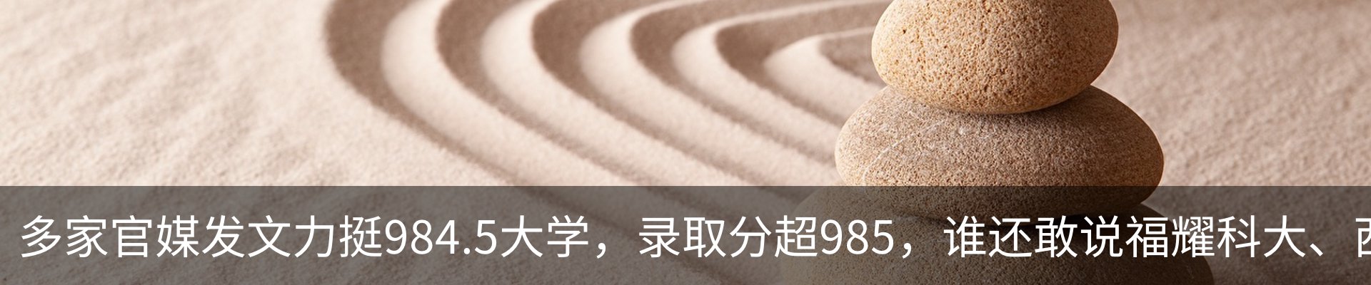 资讯动态